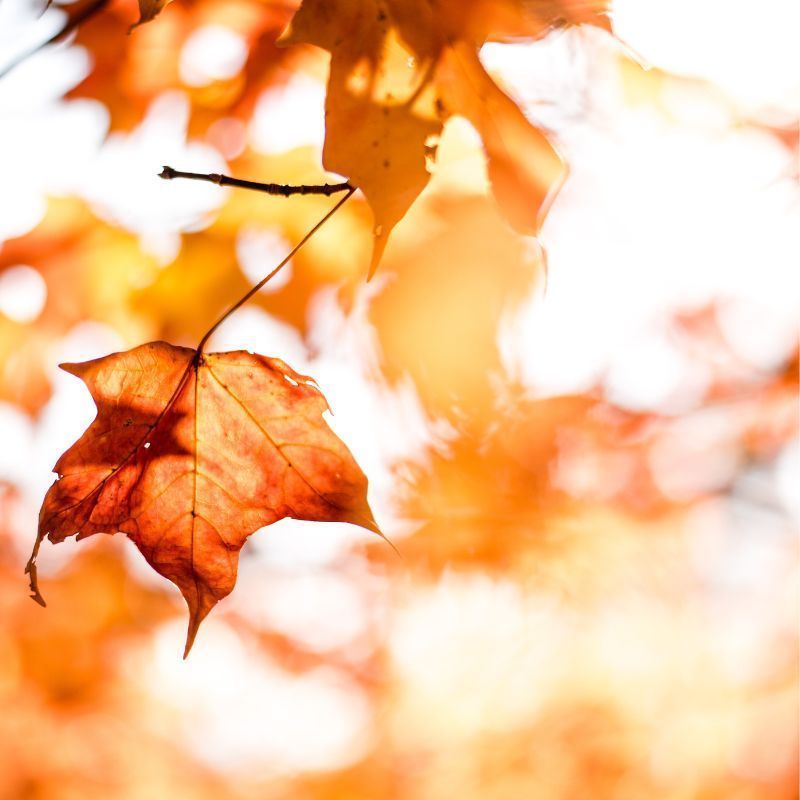 Where You Should Be Travelling To In Autumn, According To Your Zodiac Sign Where You Should Be Travelling To In Autumn, According To Your Zodiac Sign