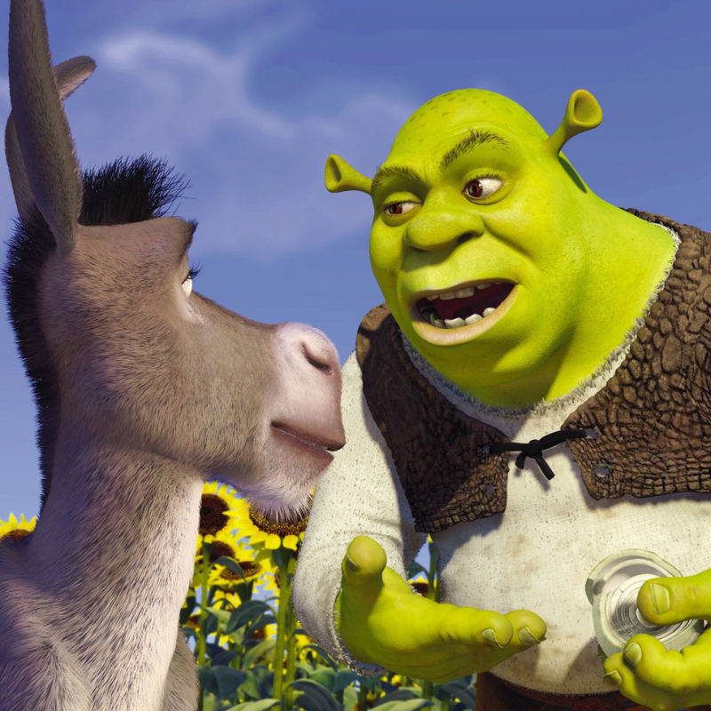 Princess Fiona Shrek The Musical Donkey Puss in Boots, Shrek, shrek  Franchise, shrek Forever After, shrek png
