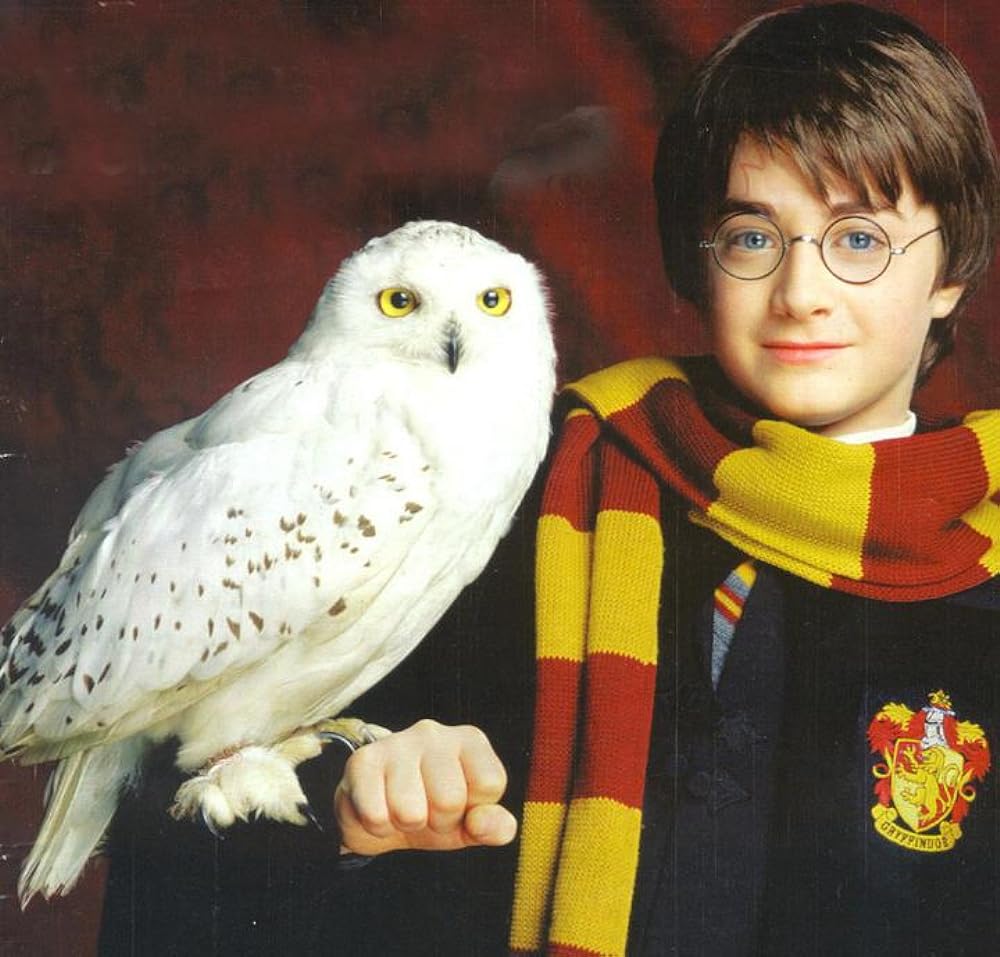 Which Harry Potter Character Are You According To Your Zodiac Sign?