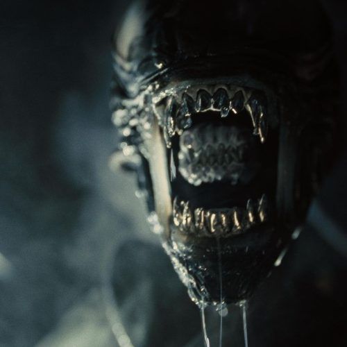 Decoding The Ending Of The ‘Alien: Romulus’ Movie And How It Impacts The Franchise’s Future