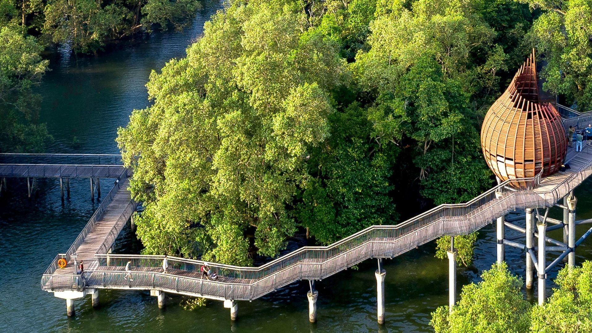 10 Beautiful Hiking Trails In Singapore