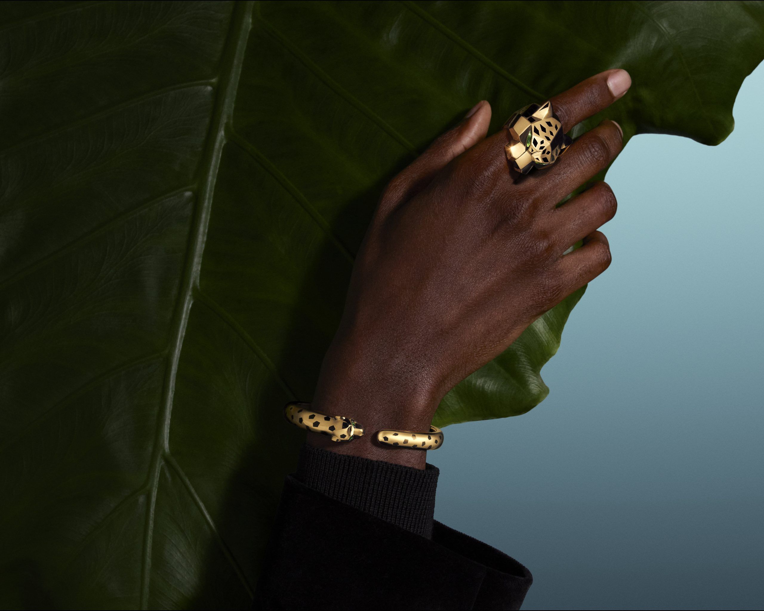 Prowling Through: Strength, Elegance, and the Enduring Allure of
