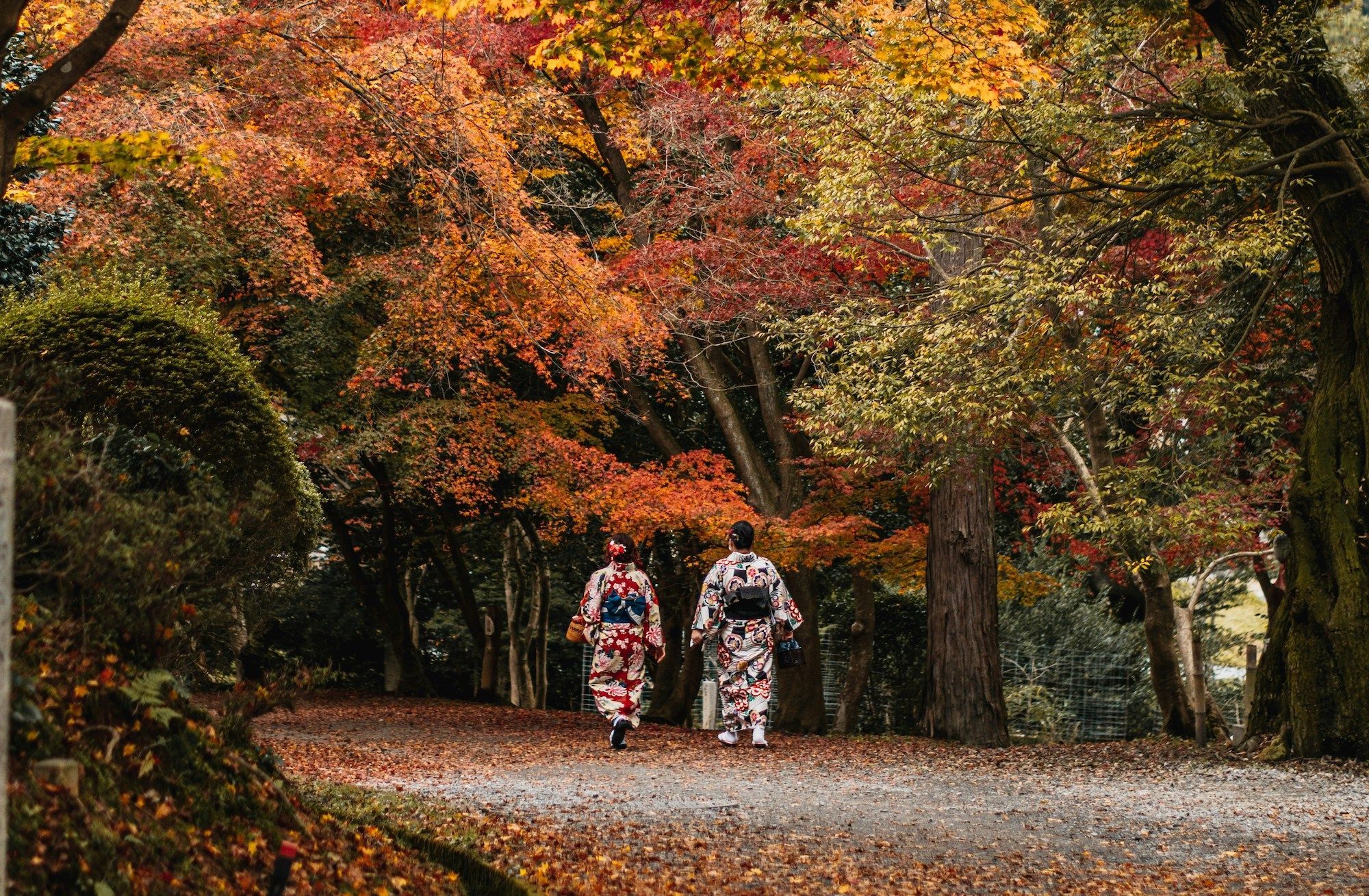 Guide To The Autumn Foliage In Japan In 2025 | Augustman MY