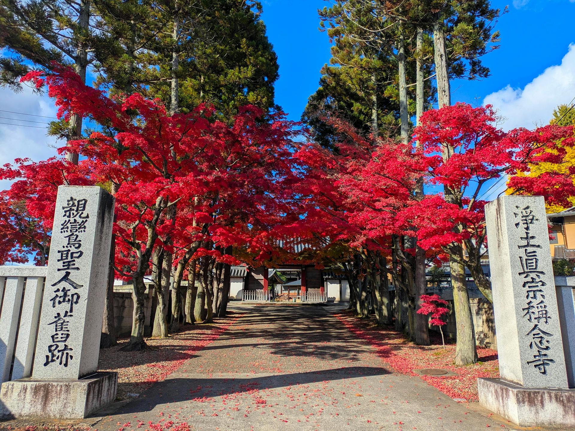 A Complete Guide To Exploring Sendai, Japan | Augustman MY