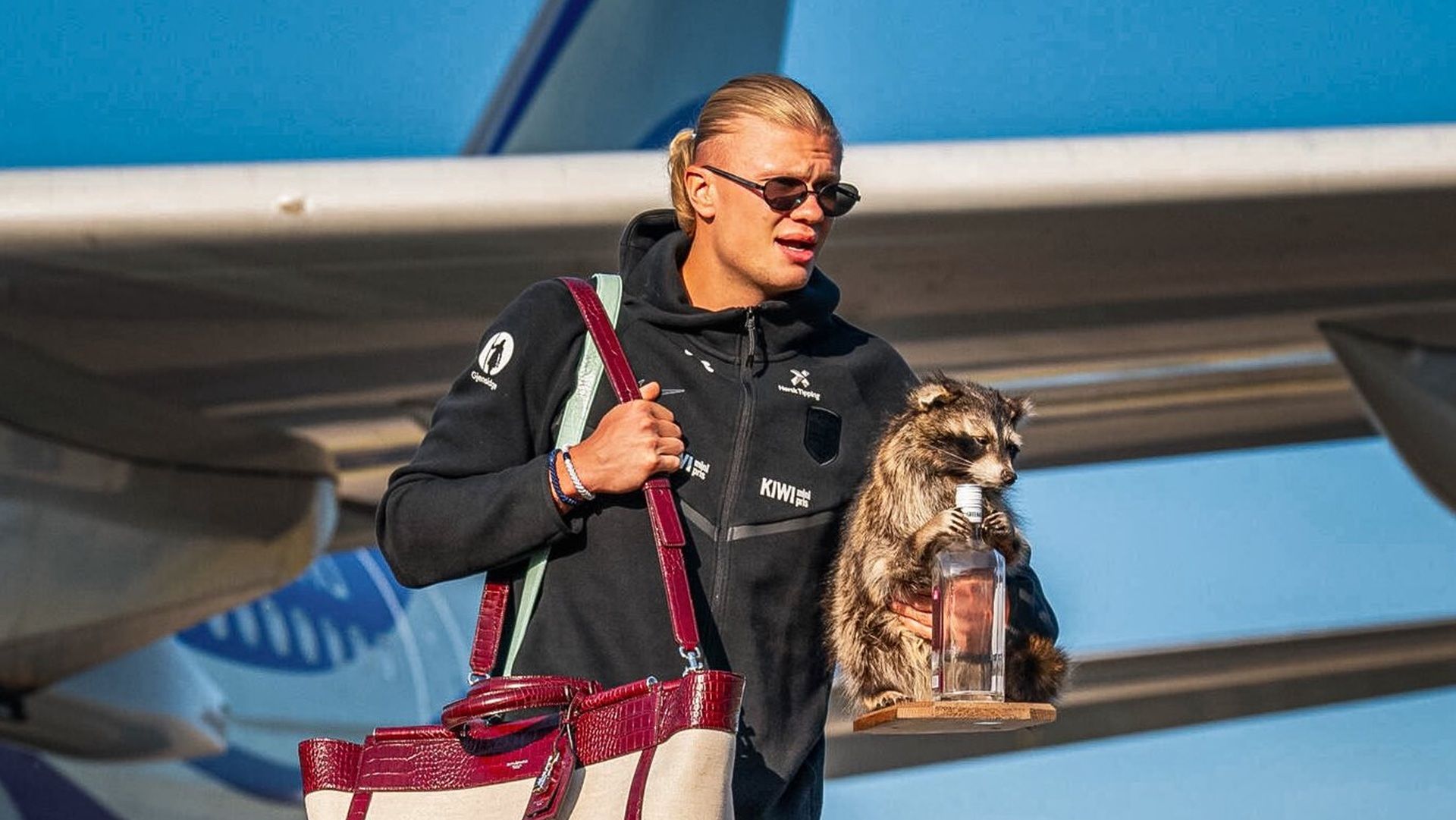 all-about-the-viral-raccoon-of-erling-haaland
