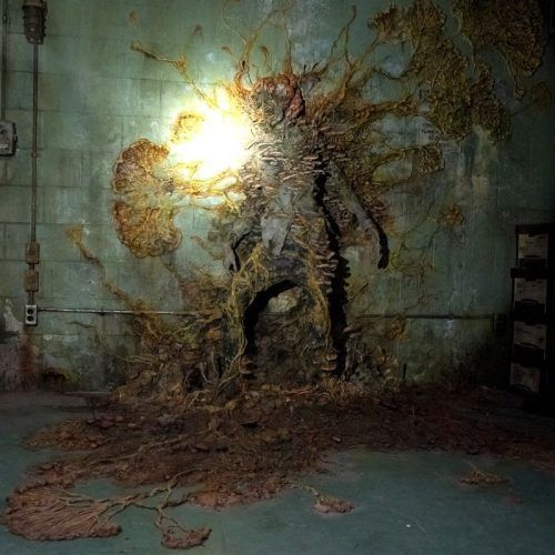 What Scientists Have To Say About Cordyceps, The Fungus Seen In ‘The Last Of Us’