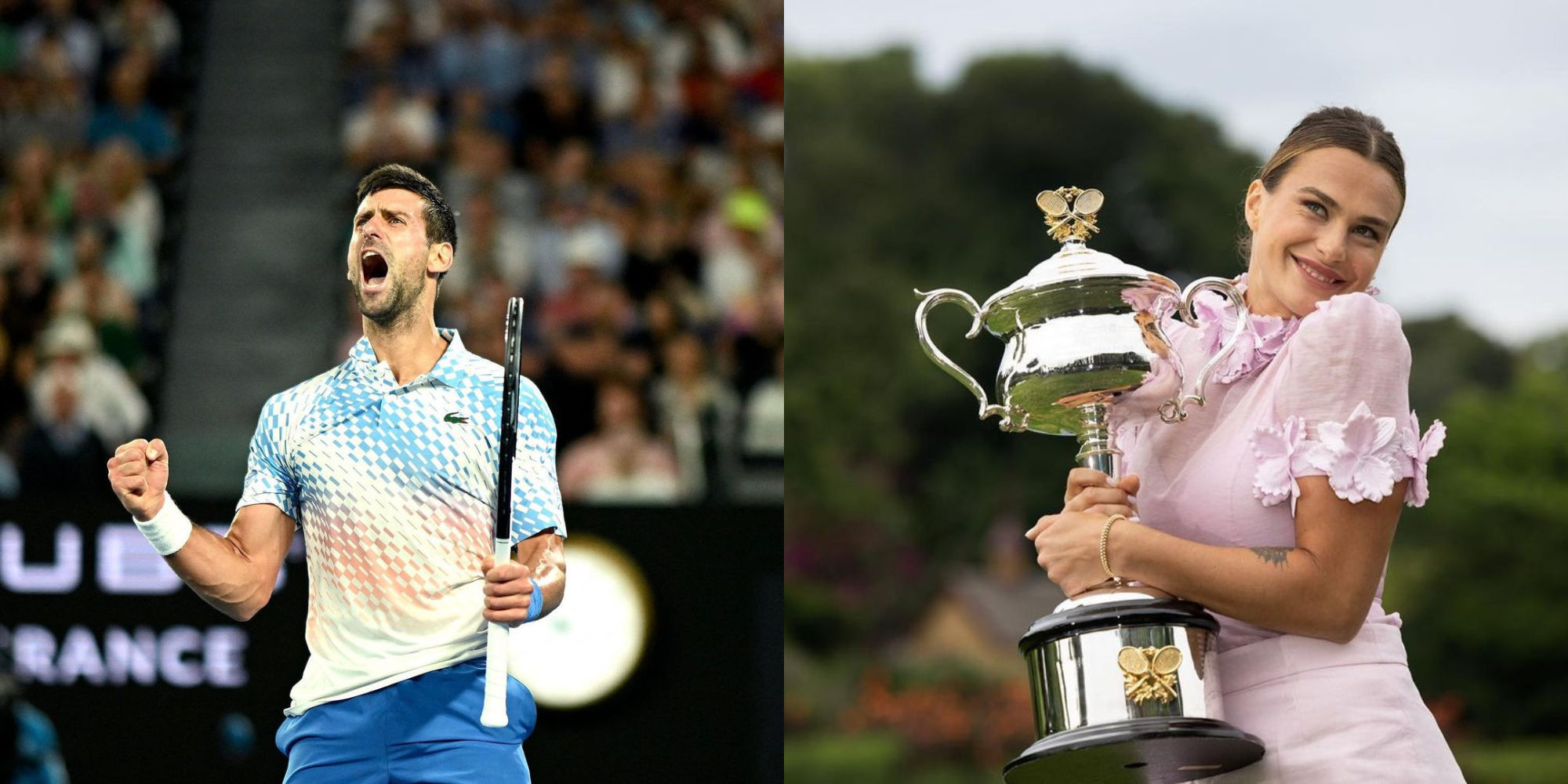 Australian Open 2023: Novak Djokovic Wins 22nd Grand Slam