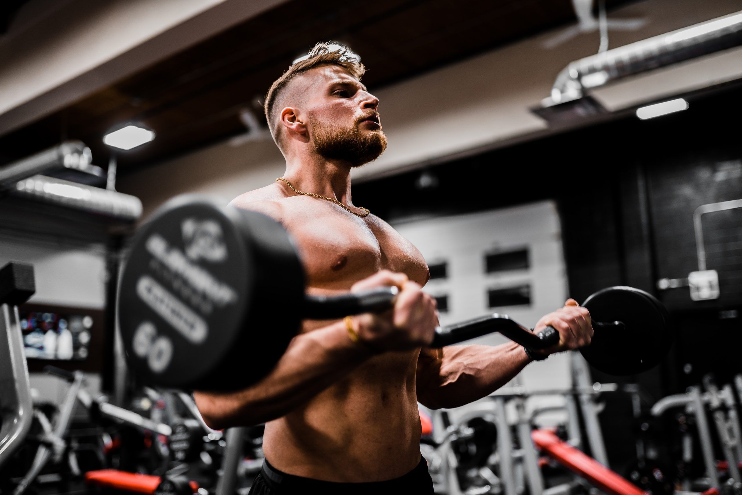 Biceps Workout