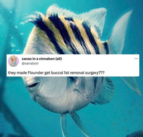 ‘The Little Mermaid’ Trailer: The Most Hilarious Twitter Reactions And Memes