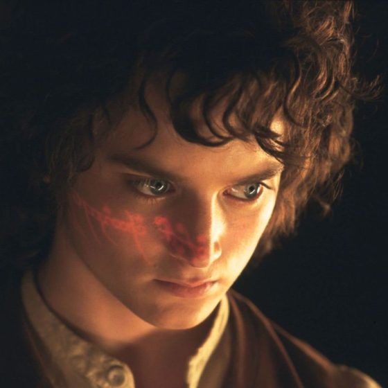The Lord of the Rings: The Fellowship of the Ring (2001)