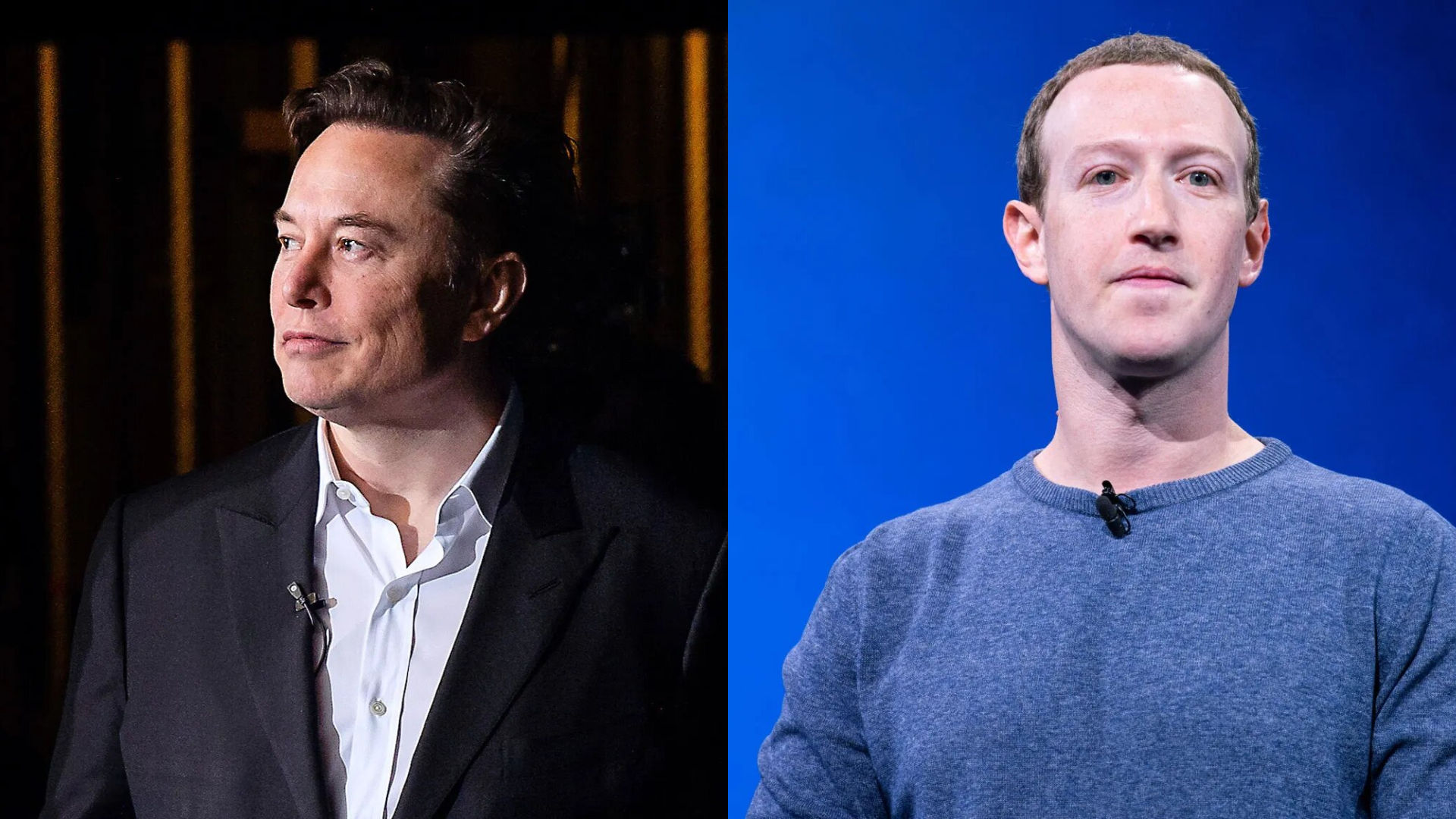 Elon Musk Vs Mark Zuckerberg: The CEOs Might Come To Blows, Literally