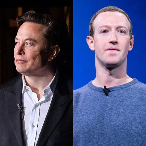 Elon Musk Vs Mark Zuckerberg: The CEOs Might Soon Be Fighting, Literally!
