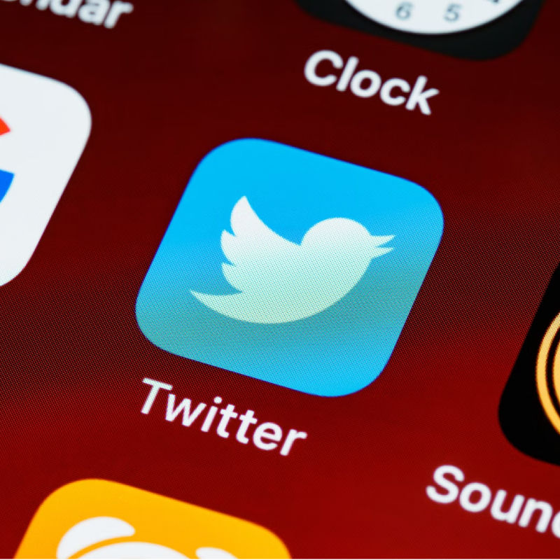 Twitter vs X: What Has Changed After Elon Musk Set ‘Larry The Bird’ Free?