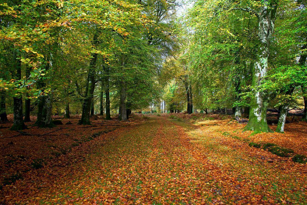 best places to travel in autumn