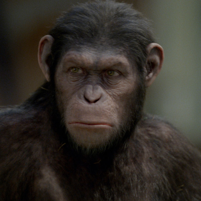 How To Watch All Planet Of The Apes Movies In Chronological Order