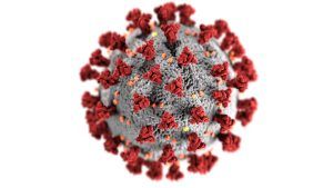 48500 year old Zombie virus