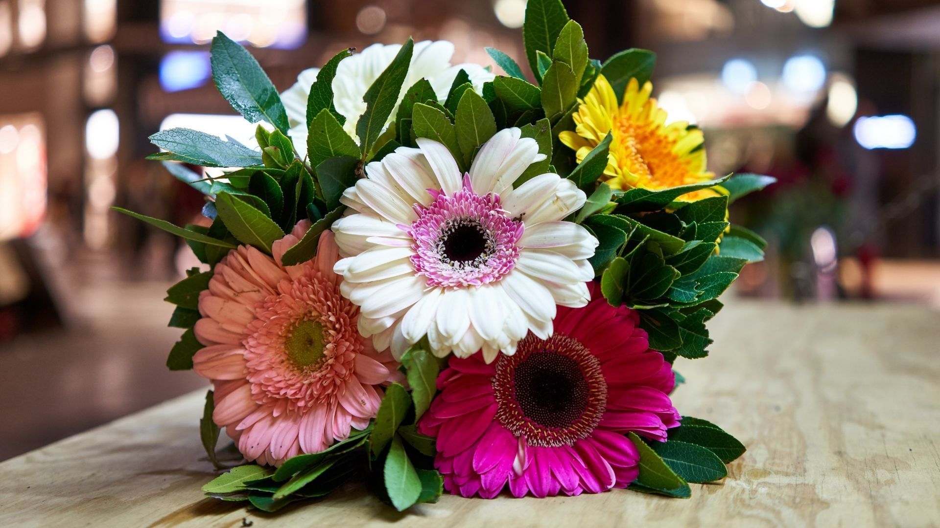 Beautiful flowers:Gerbera