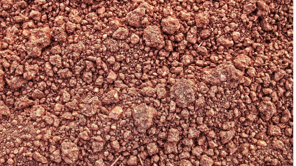 Virgo (23 August – 22 September) — Brown
