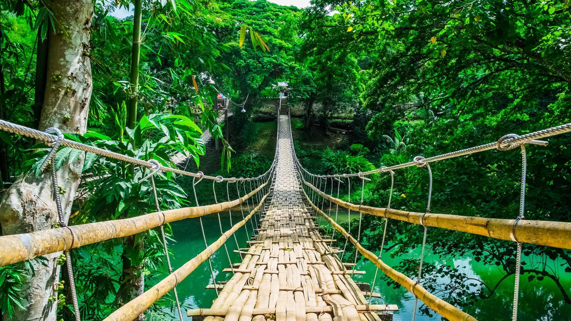 Living Root Bridge - Best Places to Visit In Philippines