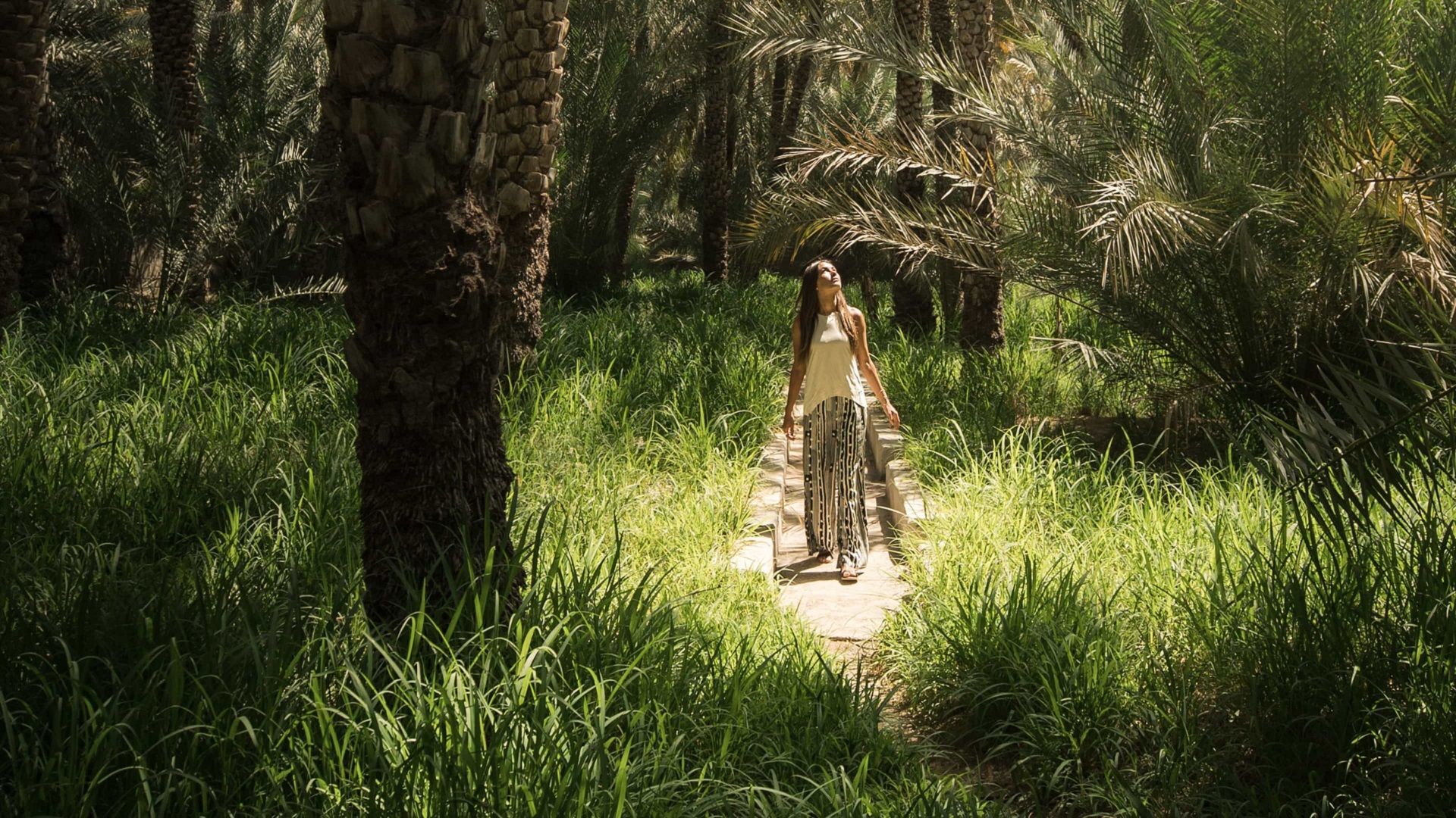 things to do in abu dhabi