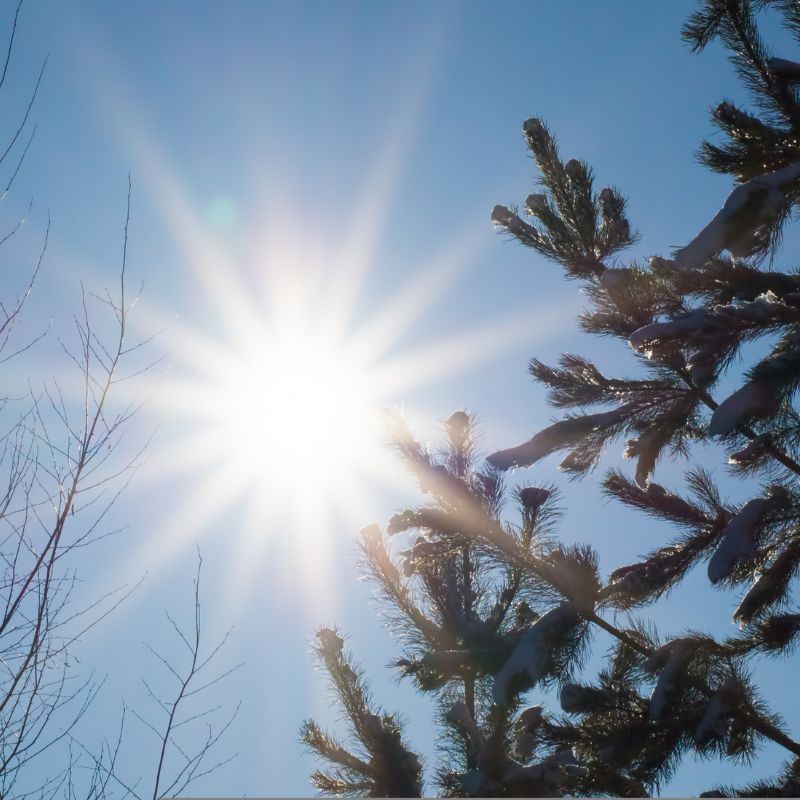 Winter Solstice 2022: What’s The Date for The Shortest Day Of The Year?