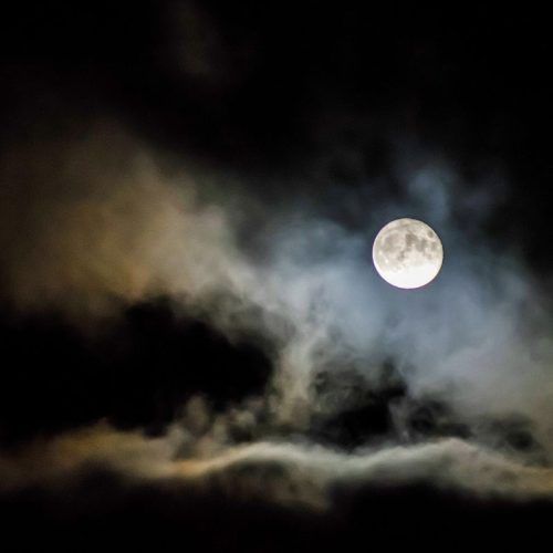 Wolf Moon 2023: What Will The Full Moon’s Affect Be On Your Zodiac Sign?