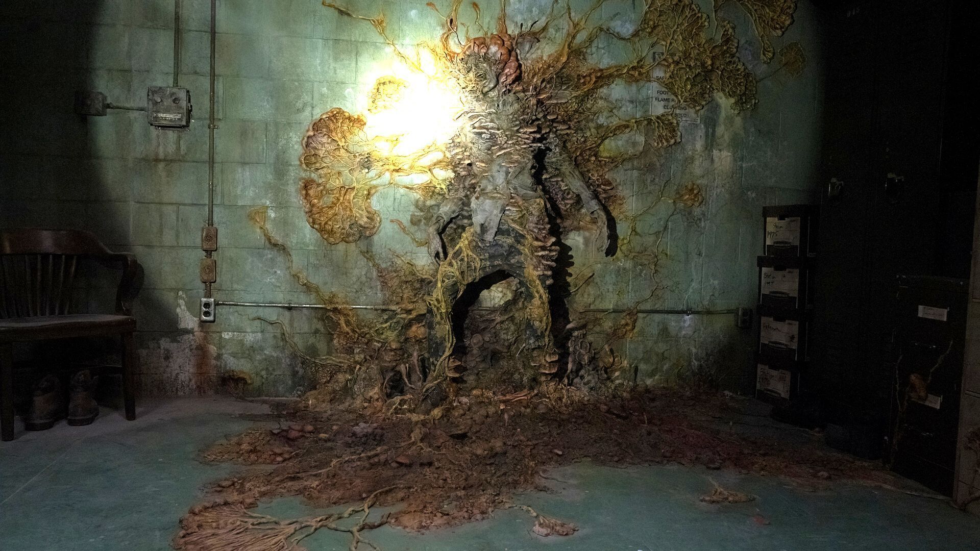 cordyceps fungus