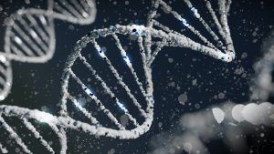 Genome testing