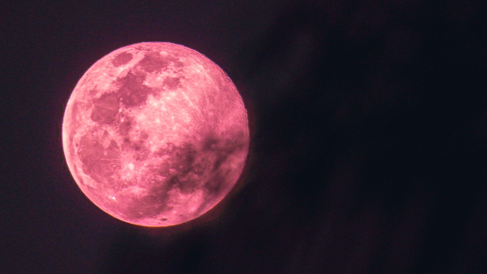 Full Pink Moon 2023 What Is It And How Will It Affect Your Zodiac?