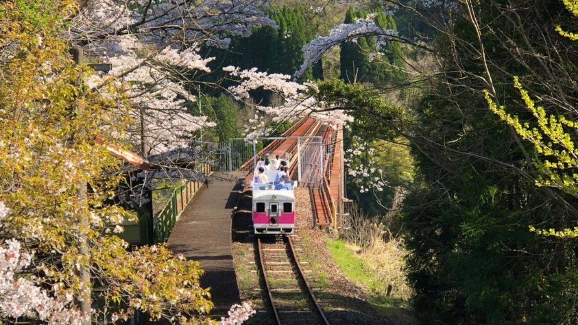 Japan train