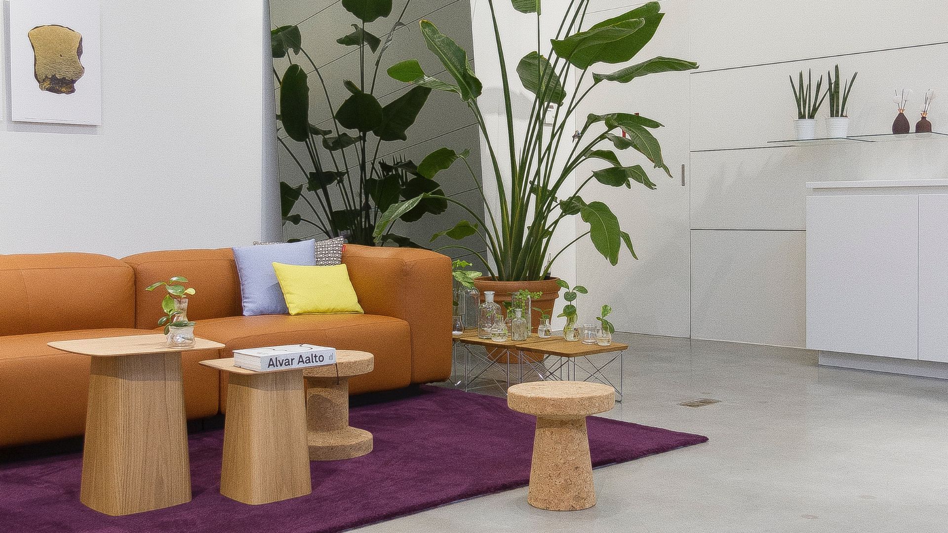 feng shui