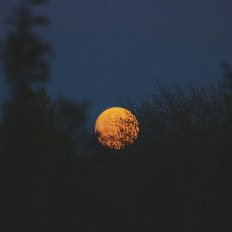 Flower Moon 2023: When Will It Take Place And How Will It Affect Your Zodiac? Flower Moon 2023: When Will It Take Place And How Will It Affect Your Zodiac?