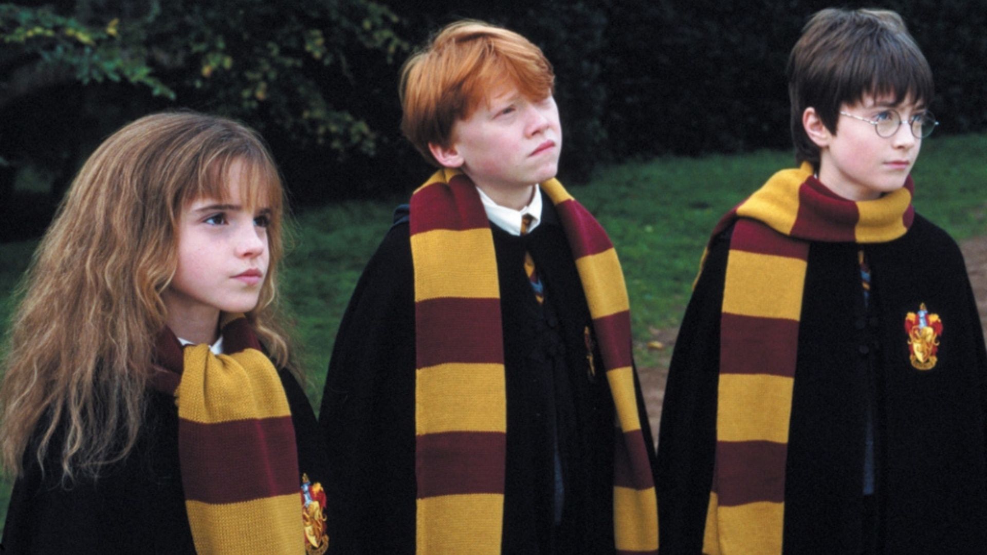 From Daniel Radcliffe To Emma Watson, What Is The Harry Potter Cast Up To These Days?