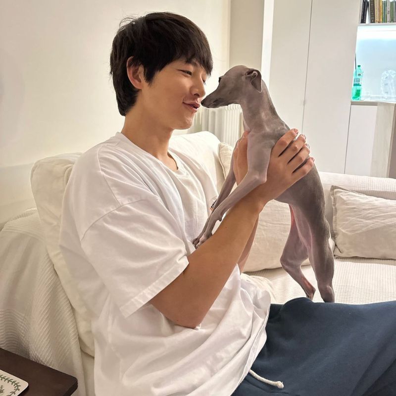 Song Joong-ki: Katy Louise Saunders