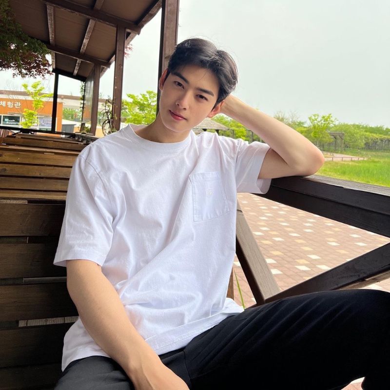 Cha Eun Woo's Net Worth