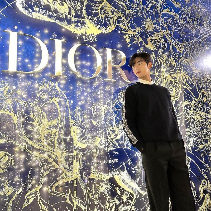Cha Eun-woo