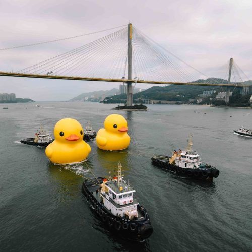 Giant Rubber Ducks Appear In Hong Kong As Part Of An Art Exhibition