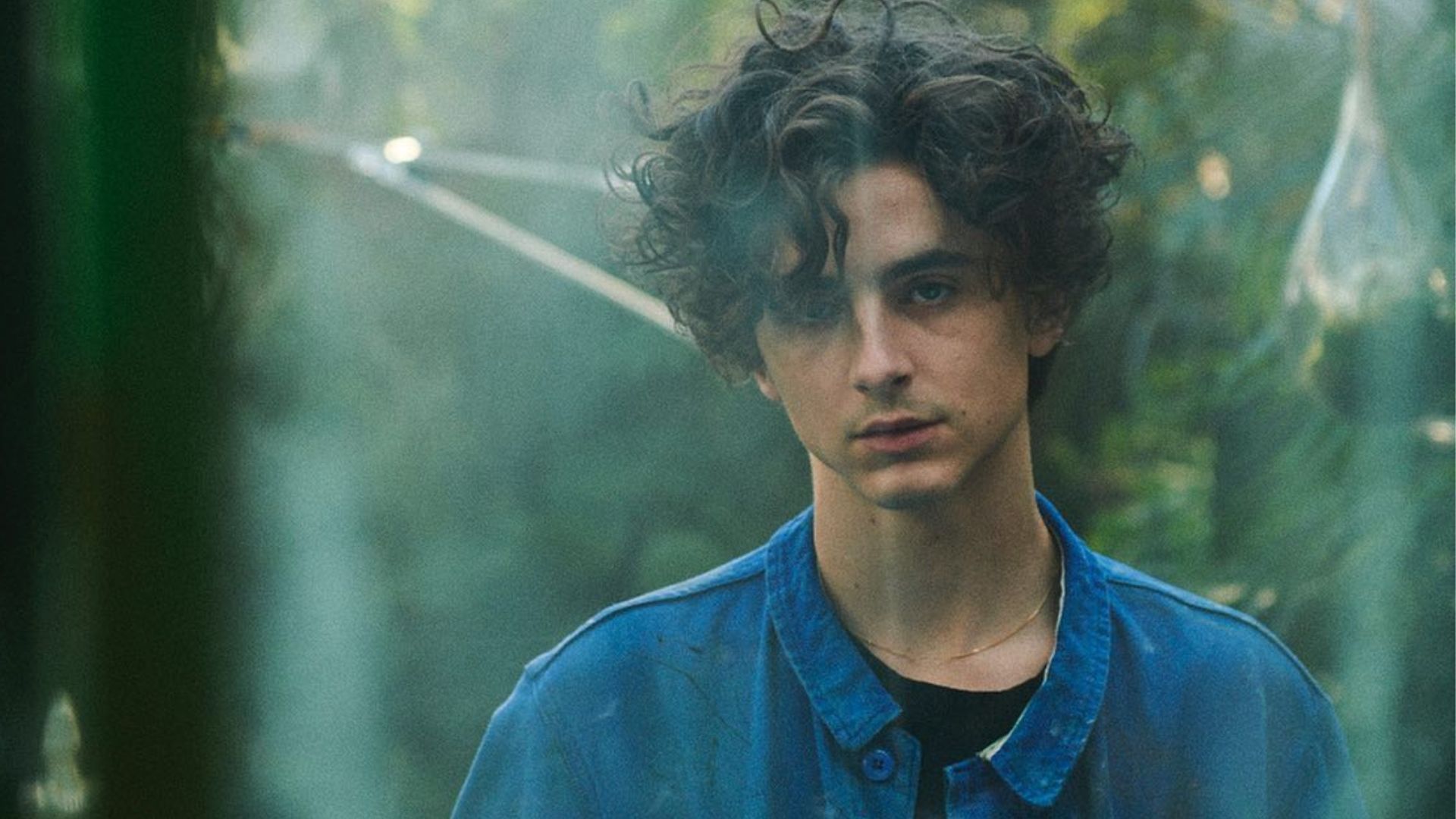Net Worth Of Timothée Chalamet: Career Earnings, Brand Deals And More