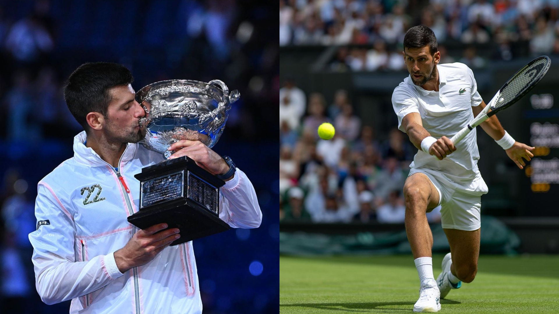 A Look At The Ranking Of Novak Djokovic, His Stats, Career Highlights, Famous Rivalries And More
