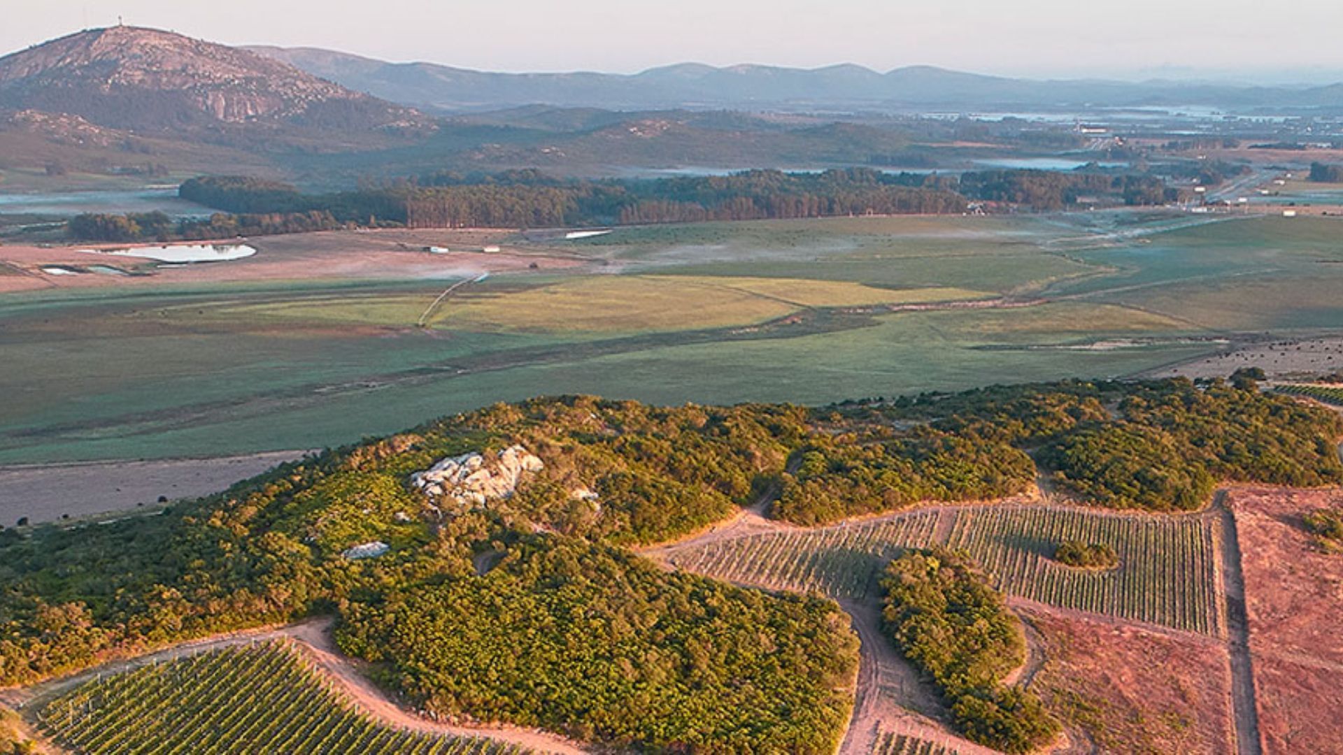 Best vineyards - Uruguay