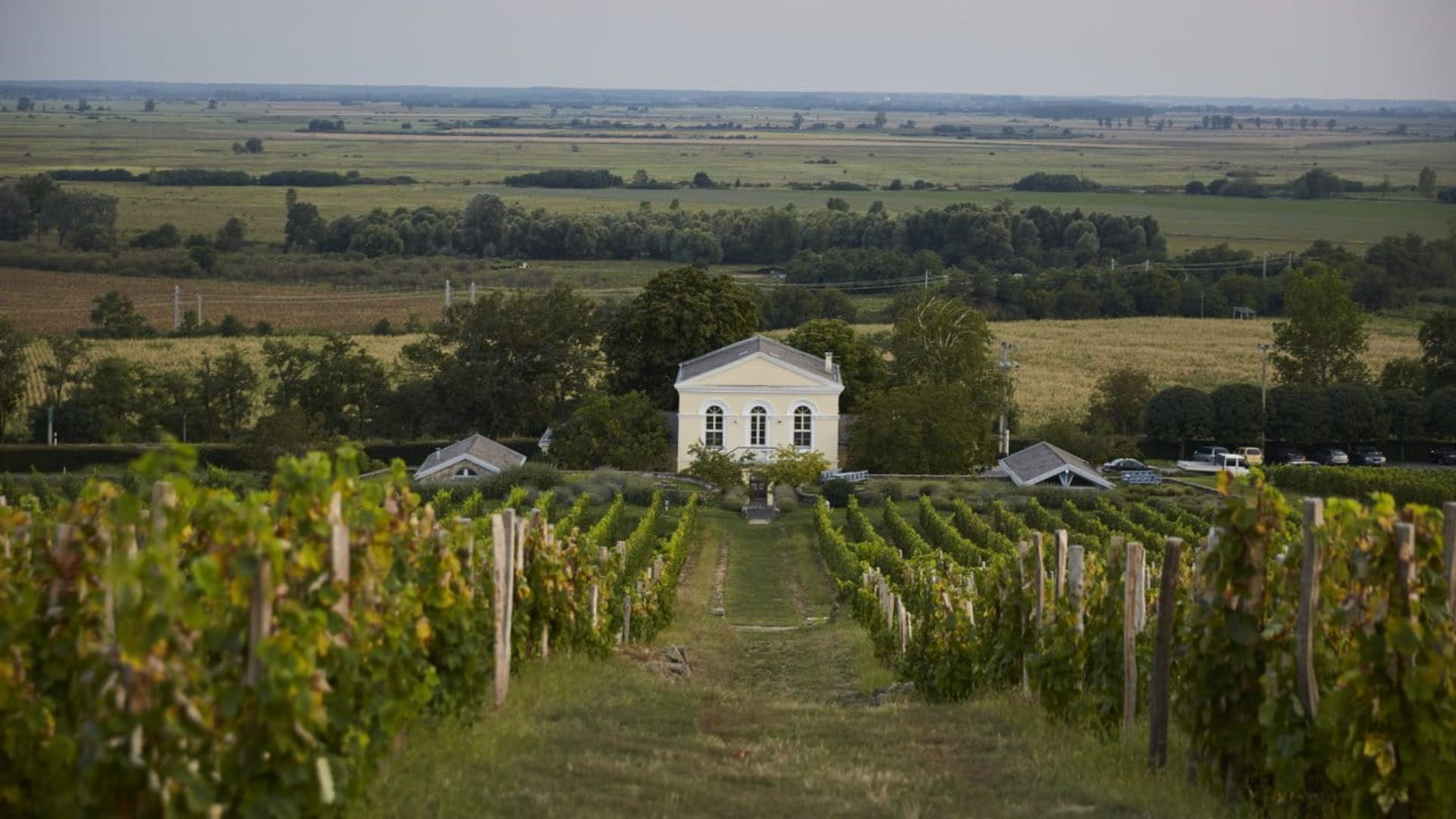 Best vineyards - Hugary