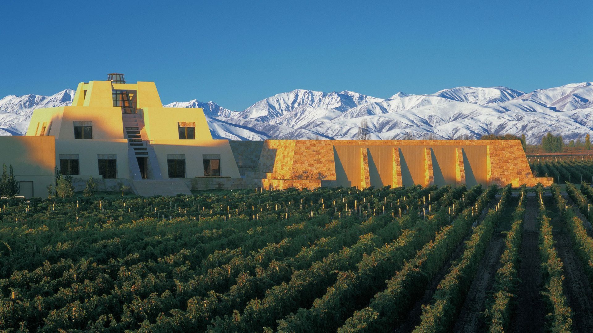 The 50 Best Vineyards In The World To Visit In 2023