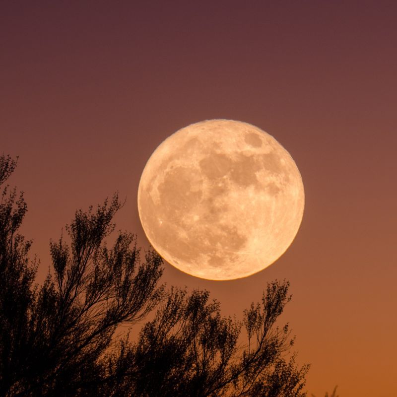 August Sturgeon Full Moon: All About The Lunar Phenomenon’s Effect On The Zodiacs August Sturgeon Full Moon: All About The Lunar Phenomenon’s Effect On The Zodiacs