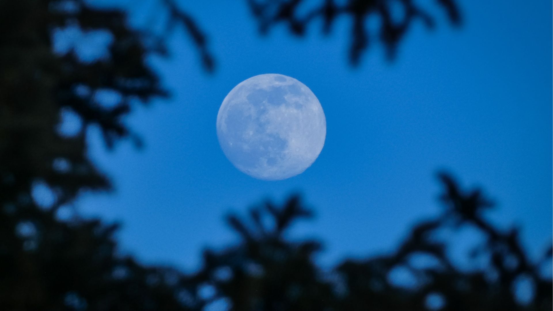August supermoon - Blue moon