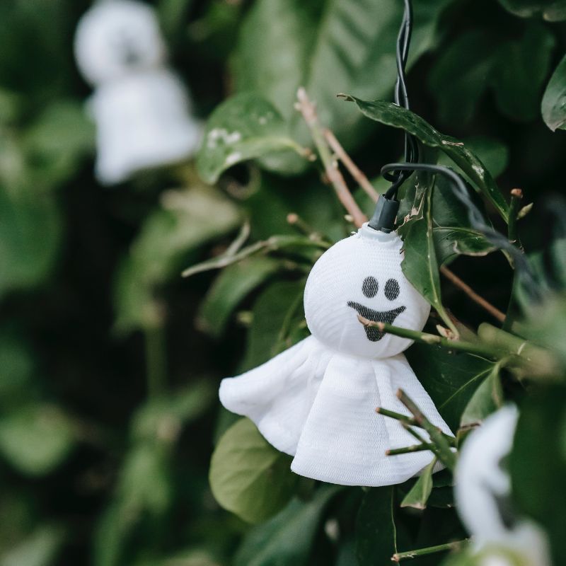 Ghost Month 2023: How To Avoid Bad Luck For Your Chinese Zodiac Sign Ghost Month 2023: How To Avoid Bad Luck For Your Chinese Zodiac Sign