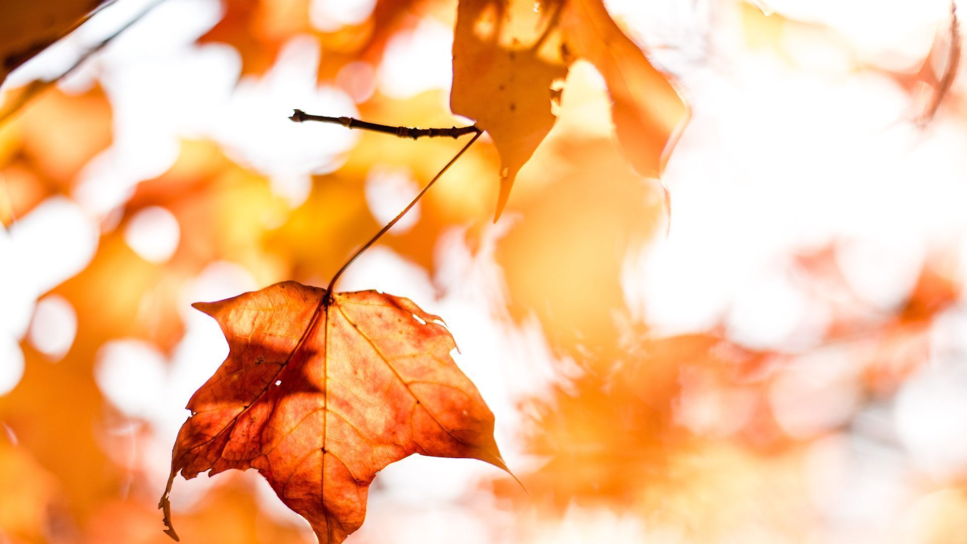 Where You Should Be Travelling To In Autumn, According To Your Zodiac Sign