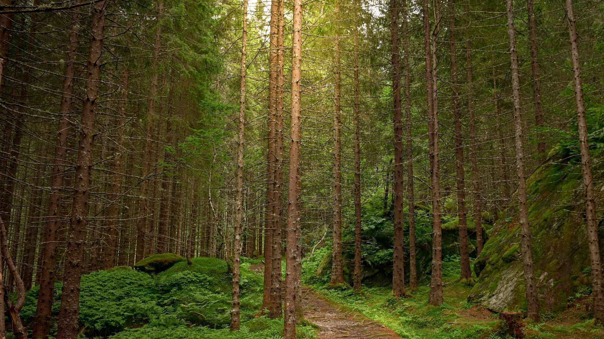 These Are The Unlucky And Lucky Colours For Virgo, The Earth Sign