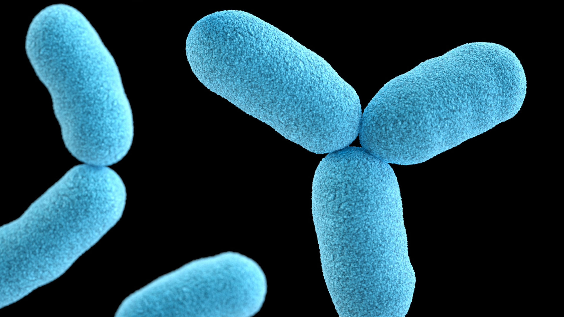 What We Know About The Rare Flesh Eating Bacteria That Has Killed 8 People So Far
