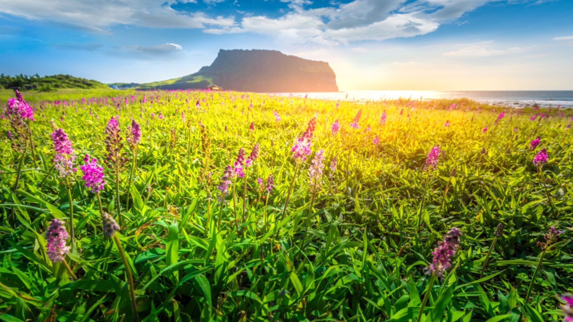 10 Most Beautiful Places In South Korea To Put On Your Bucket List