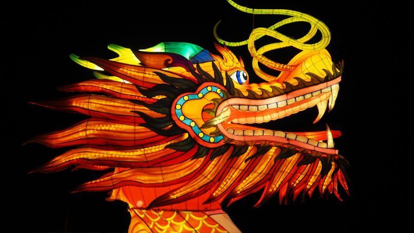 year of the wood dragon